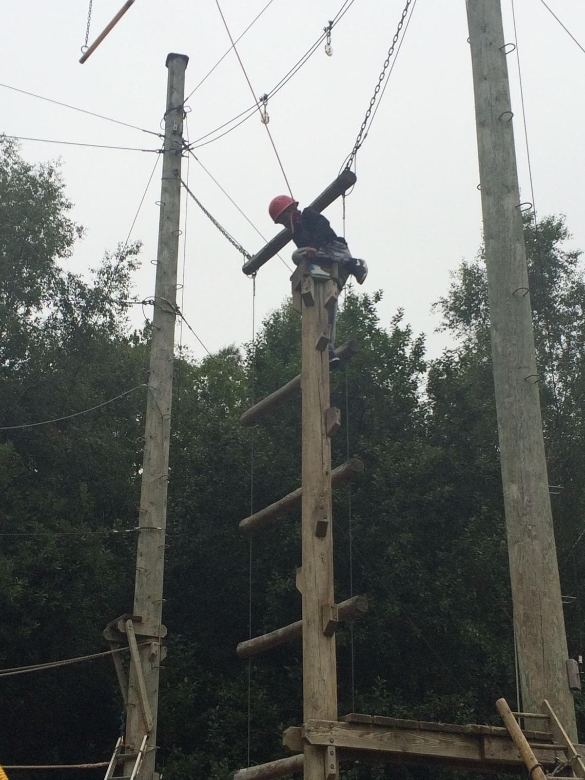 Young person on high ropes adventure course